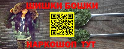 крисы Моздок