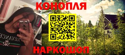 крисы Моздок