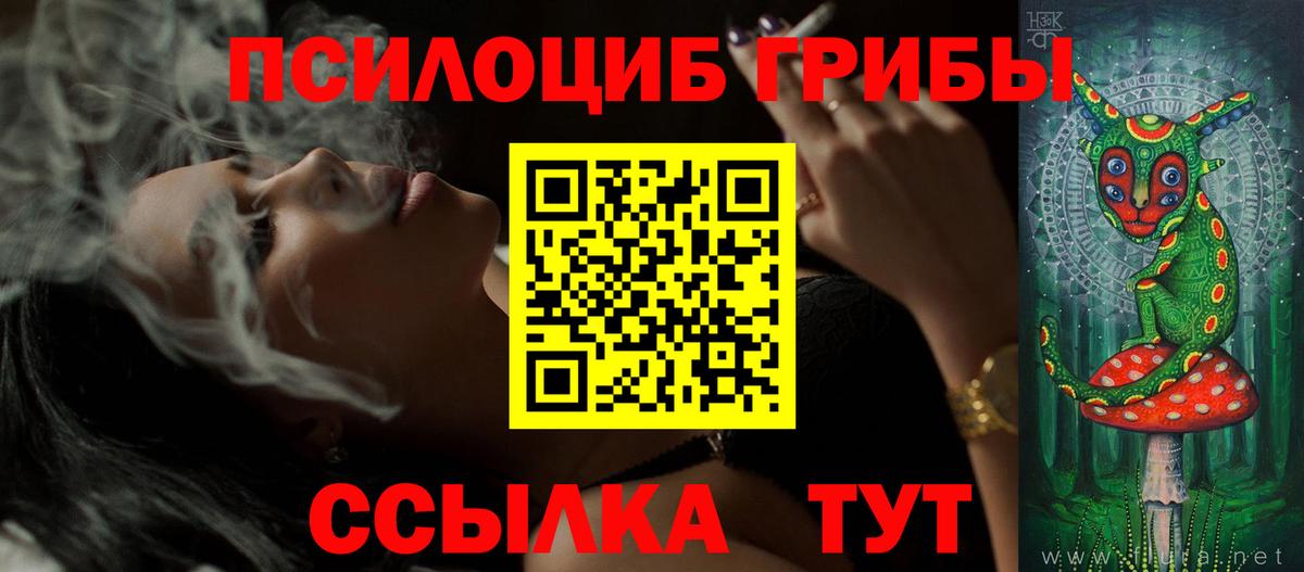 Чернушка  Галлюциногенные грибы прущие грибы  Вход с VPN 